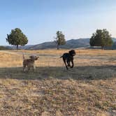 Review photo of Sheep Creek Dispersed Camping Area by Jennifer R., September 14, 2020