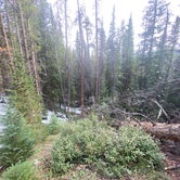 Review photo of Boreas Pass Road Designated Dispersed Camping by Paul M., September 14, 2020
