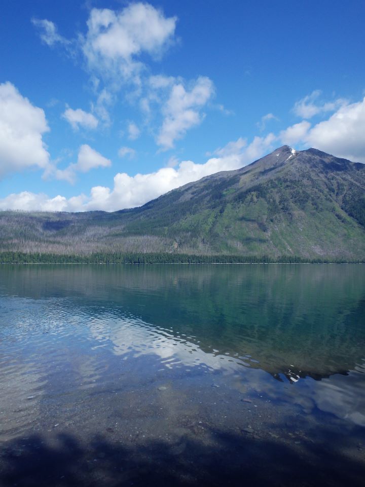 Camper submitted image from Fish Creek Campground — Glacier National Park - 5