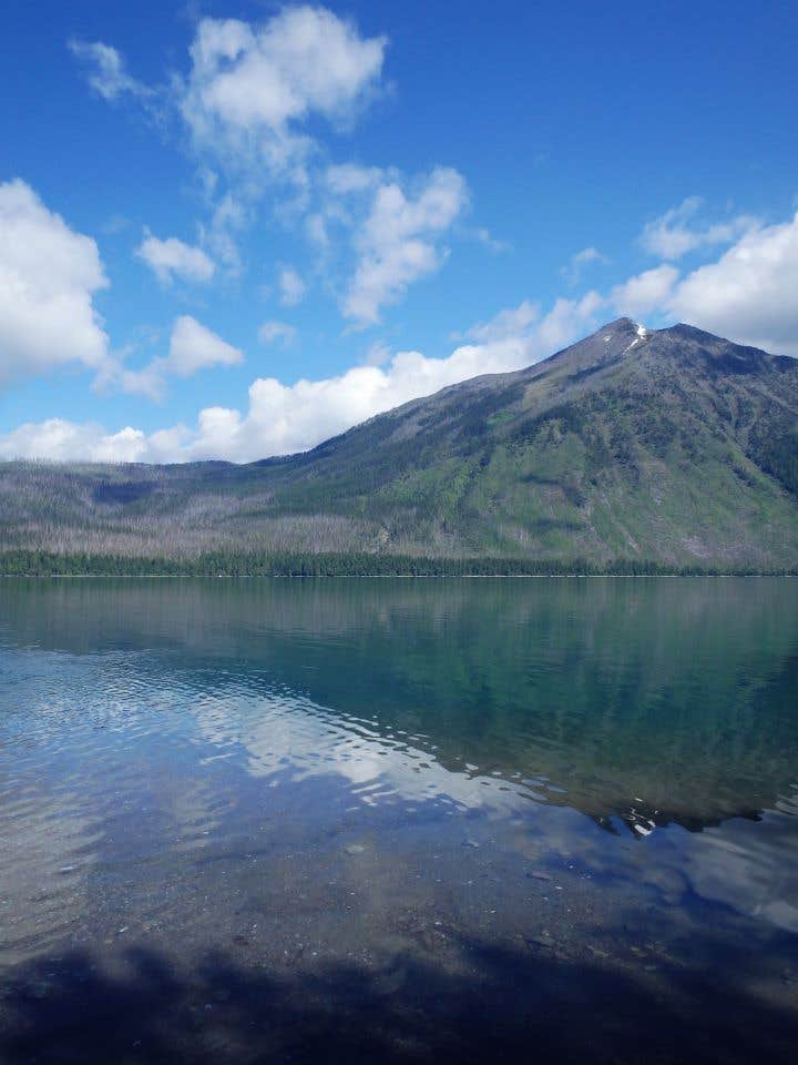 Camper submitted image from Fish Creek Campground — Glacier National Park - 3