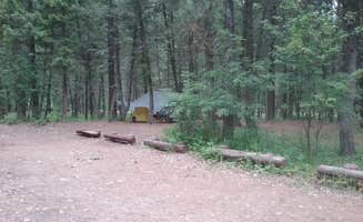 Dexter I.'s photo at Norton near Missoula, MT