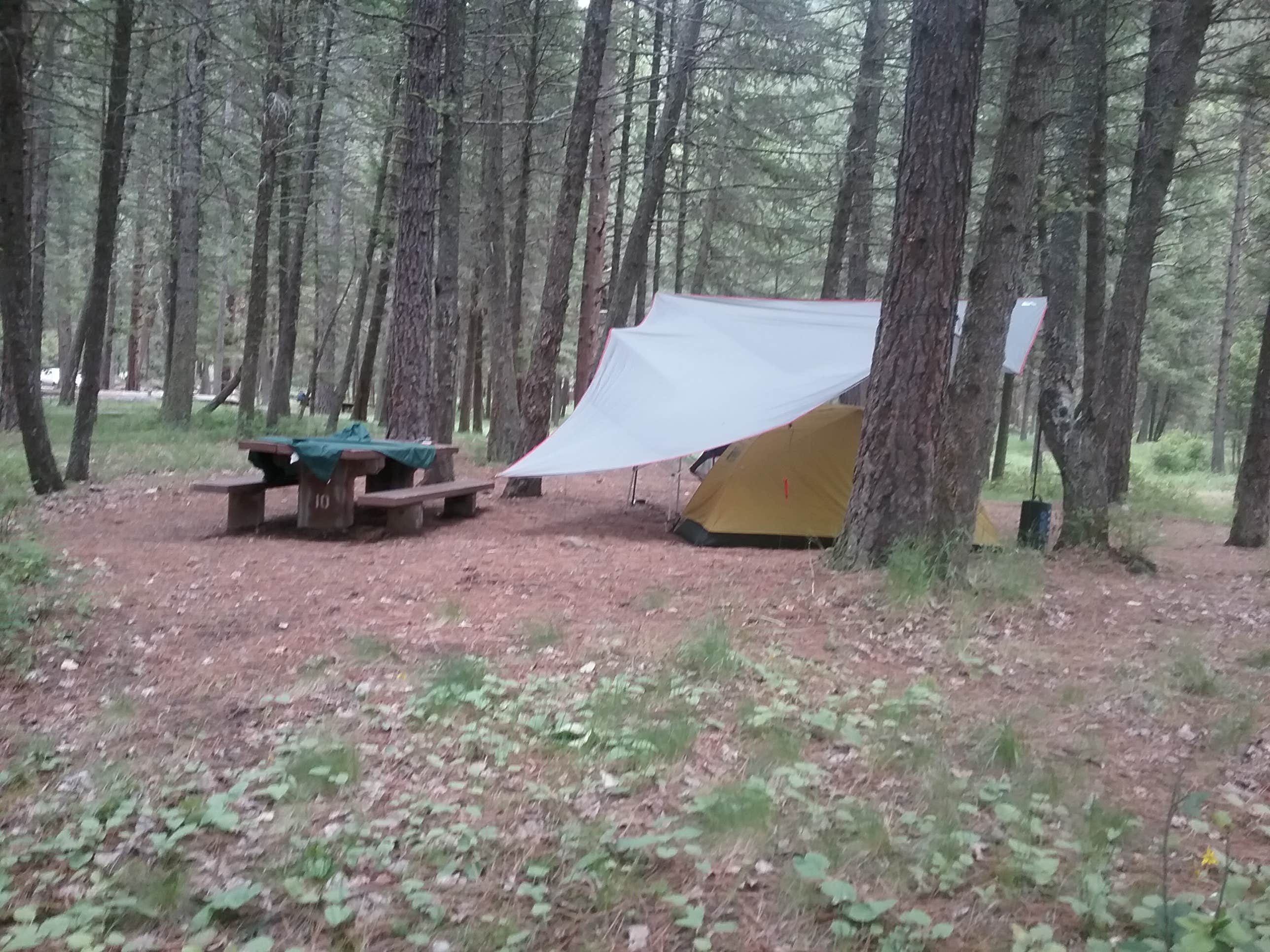 Dexter I.'s photo at Norton near Drummond, MT