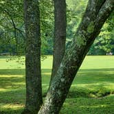 Review photo of Nantahala National Forest Appletree Group Campground by Jeffrey S., September 14, 2020