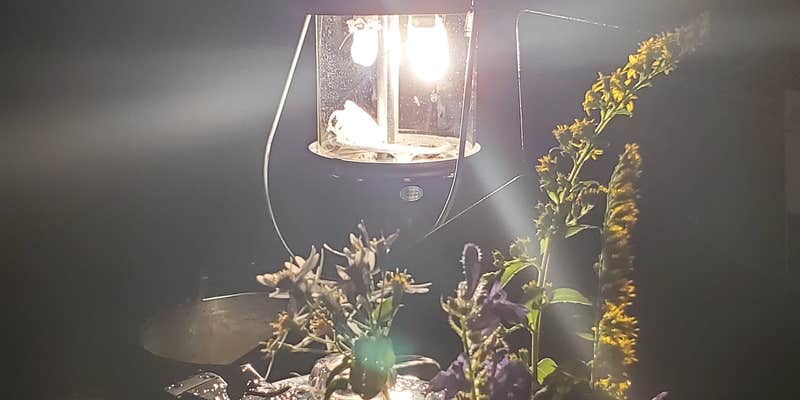 Camper submitted image from Nantahala National Forest Appletree Group Campground