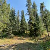 Review photo of Toppings Lake in Bridger-Teton National Forest by Taylor B., September 14, 2020