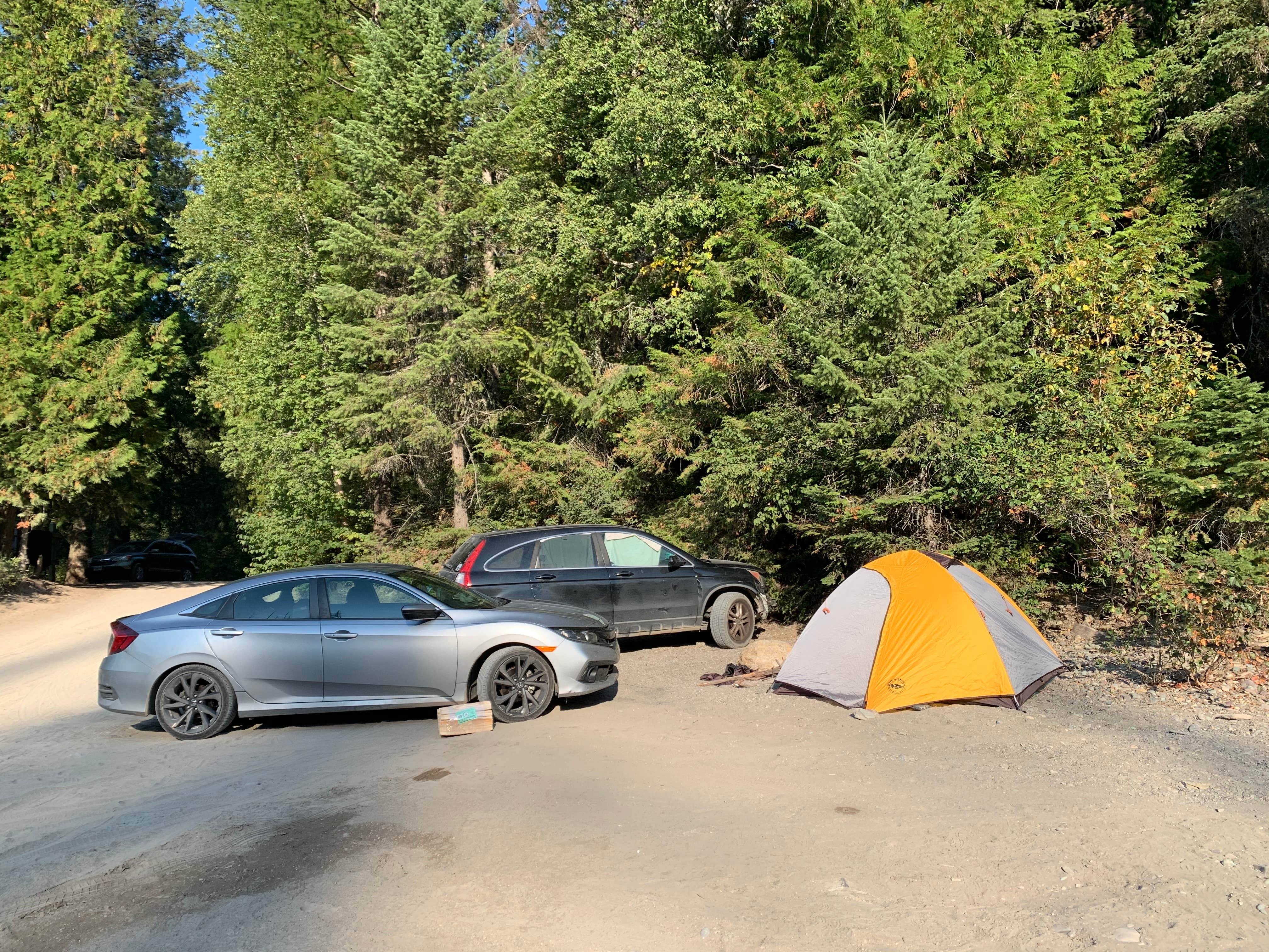 Taylor B.'s photo at Middle Fork Flathead River Dispersed near Columbia Falls, MT