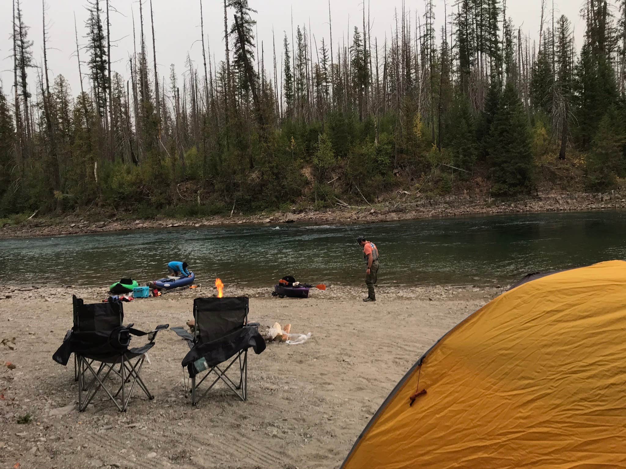 Camper submitted image from Middle Fork Flathead River Dispersed - 4