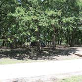 Review photo of COE Navarro Mills Reservoir Oak Park by B H., May 17, 2018