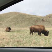 Review photo of Elk Mountain Campground — Wind Cave National Park by Paul S., May 17, 2018