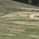 Review photo of Elk Mountain Campground — Wind Cave National Park by Paul S., May 17, 2018