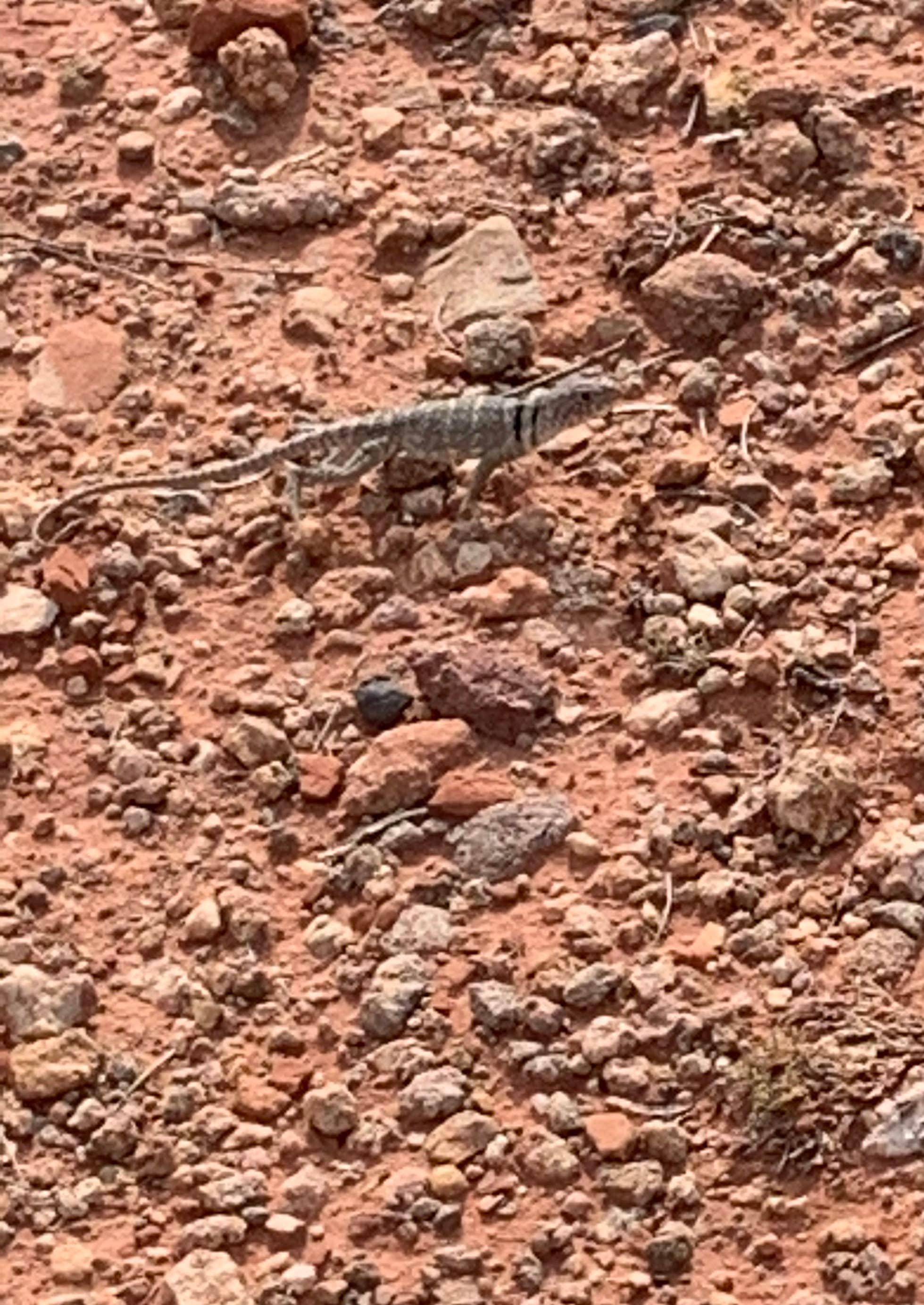 Camper-submitted photo at Mesquite Campground — Palo Duro Canyon State Park near Canyon, TX