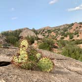 Review photo of Mesquite Campground — Palo Duro Canyon State Park by Neil T., September 14, 2020