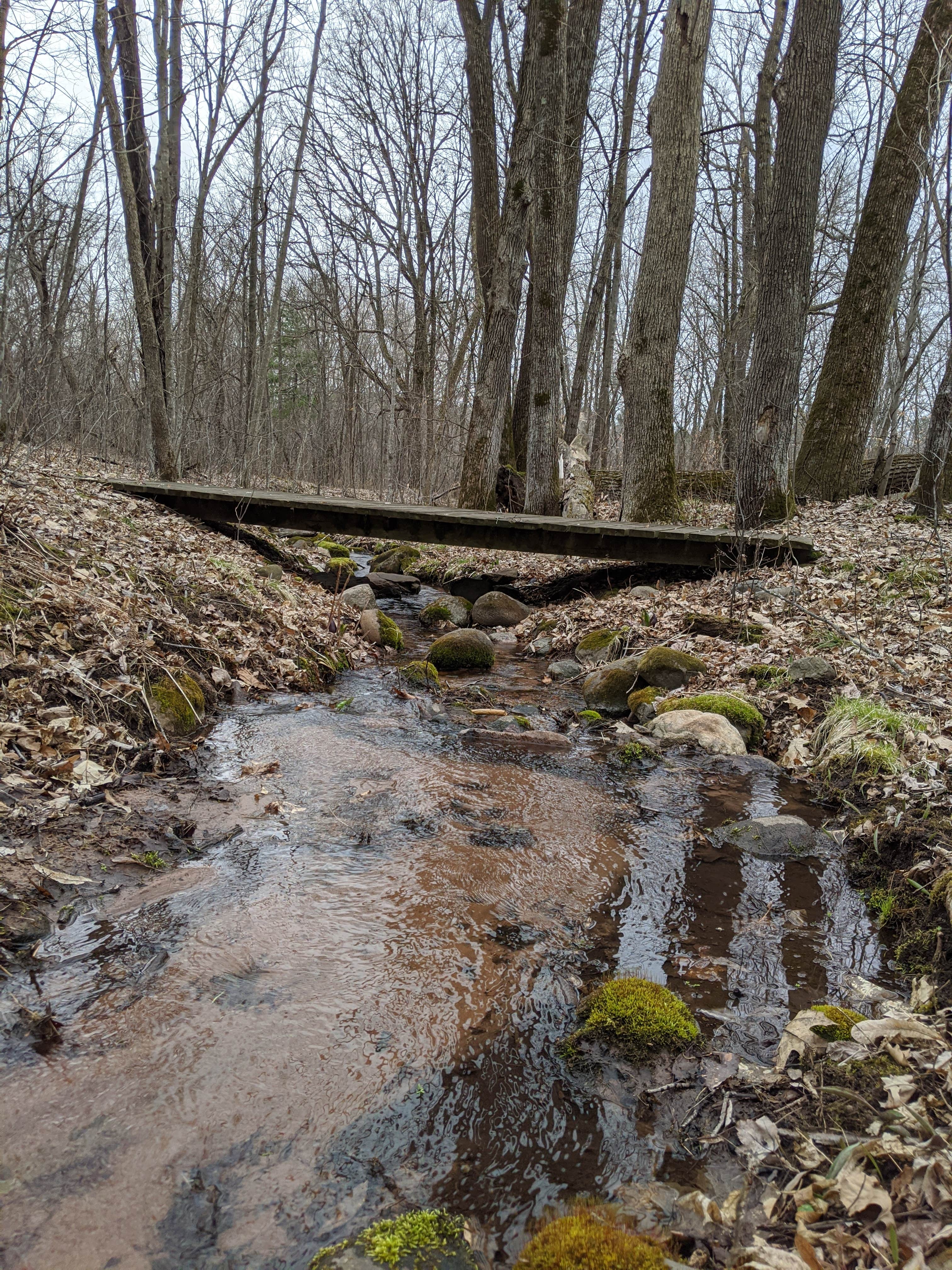 Camper submitted image from Trade River Equestrian Camp — Governor Knowles State Forest - 4