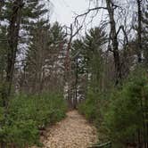 Review photo of Trade River Equestrian Camp — Governor Knowles State Forest by Kim , September 14, 2020