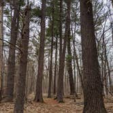 Review photo of Trade River Equestrian Camp — Governor Knowles State Forest by Kim , September 14, 2020