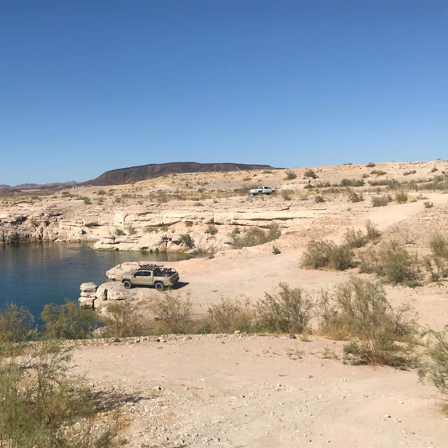 Havasu Landing Resort & Casino Campground Camping The Dyrt