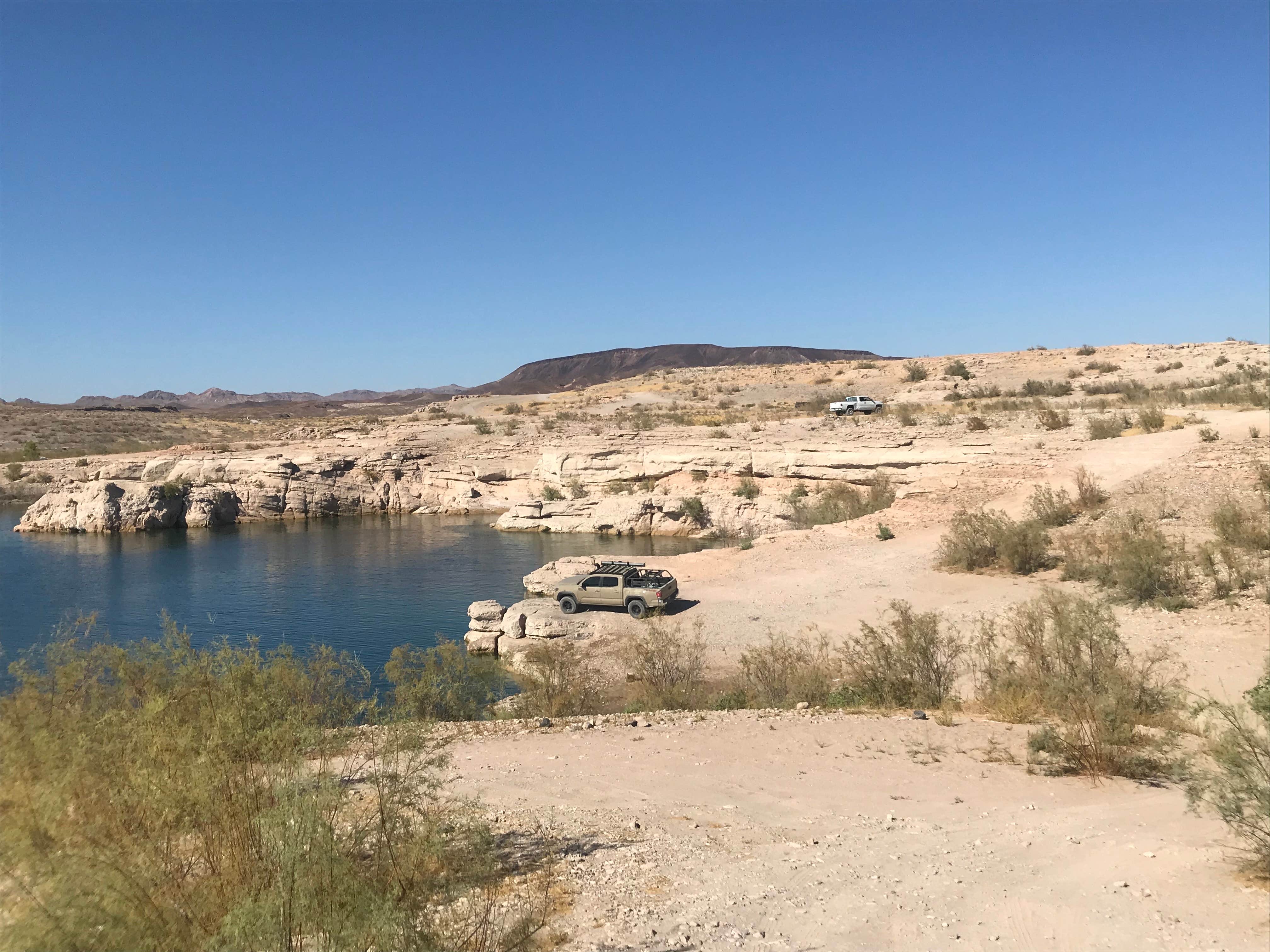 Camper submitted image from Havasu Landing Resort & Casino Campground - 2