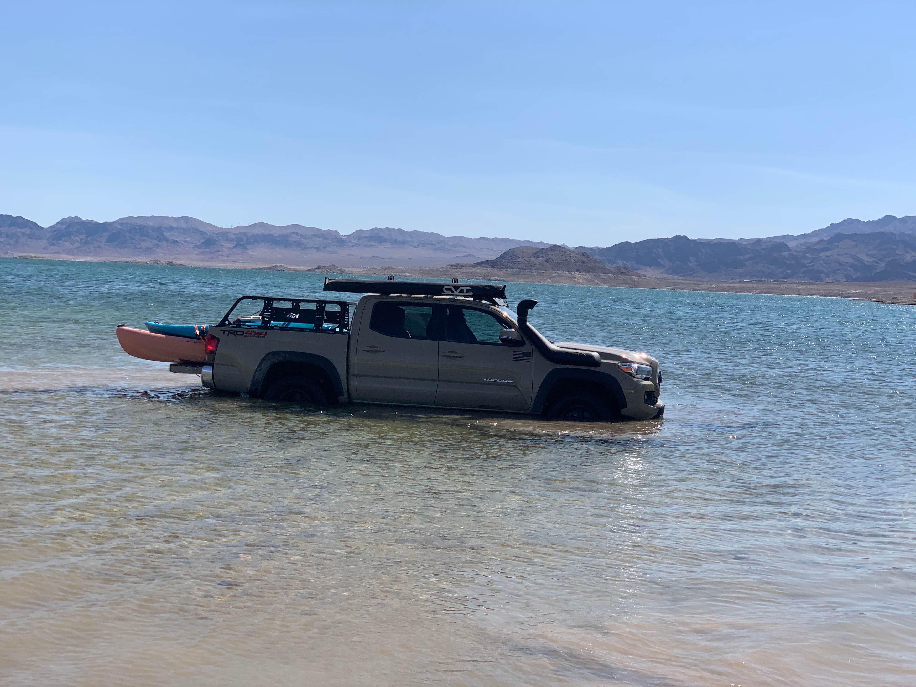 Havasu Landing Resort & Casino Campground Camping The Dyrt