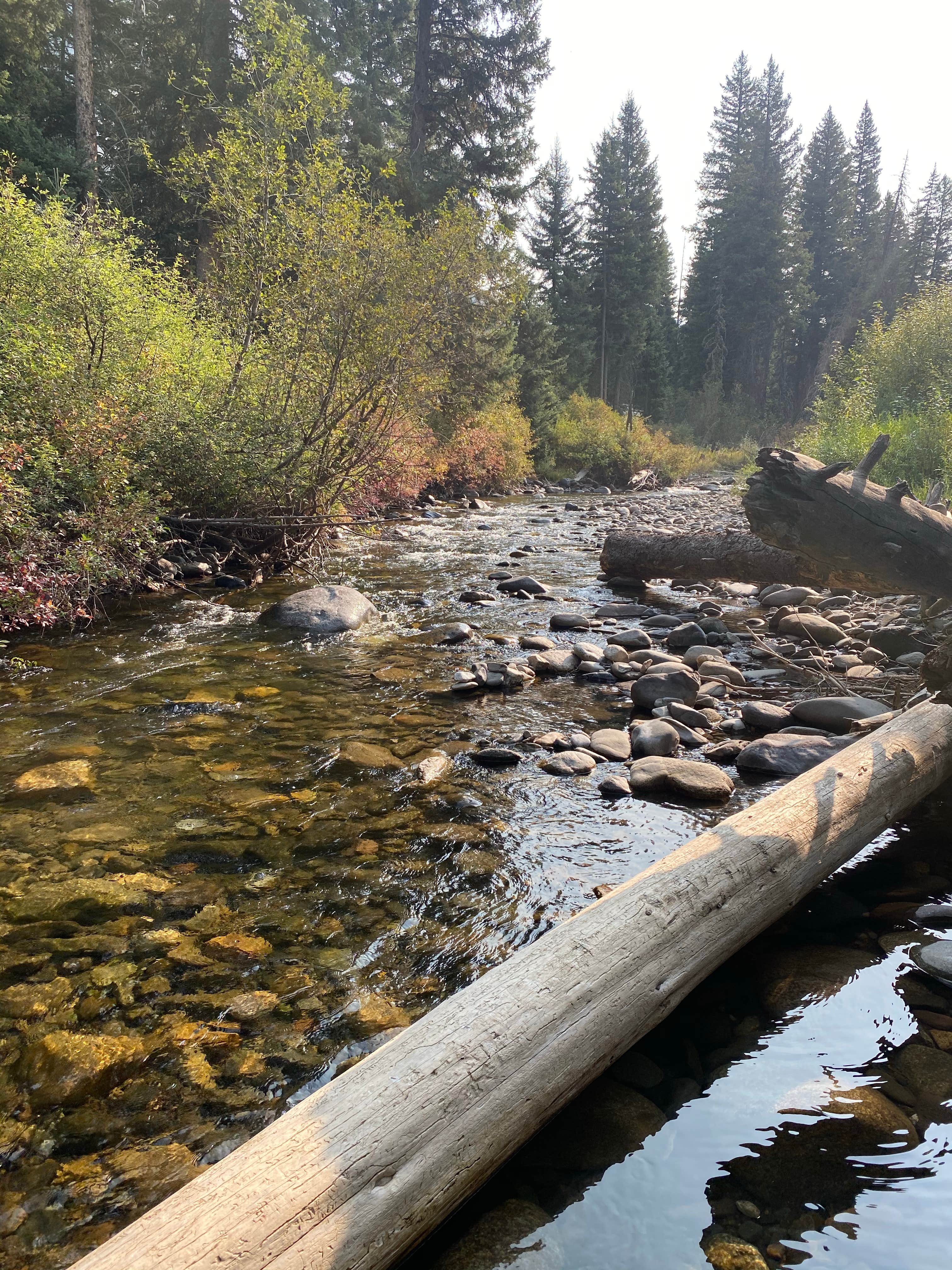 Camper-submitted photo at Gallatin National Forest Snowbank Group Campground near Gardiner, MT