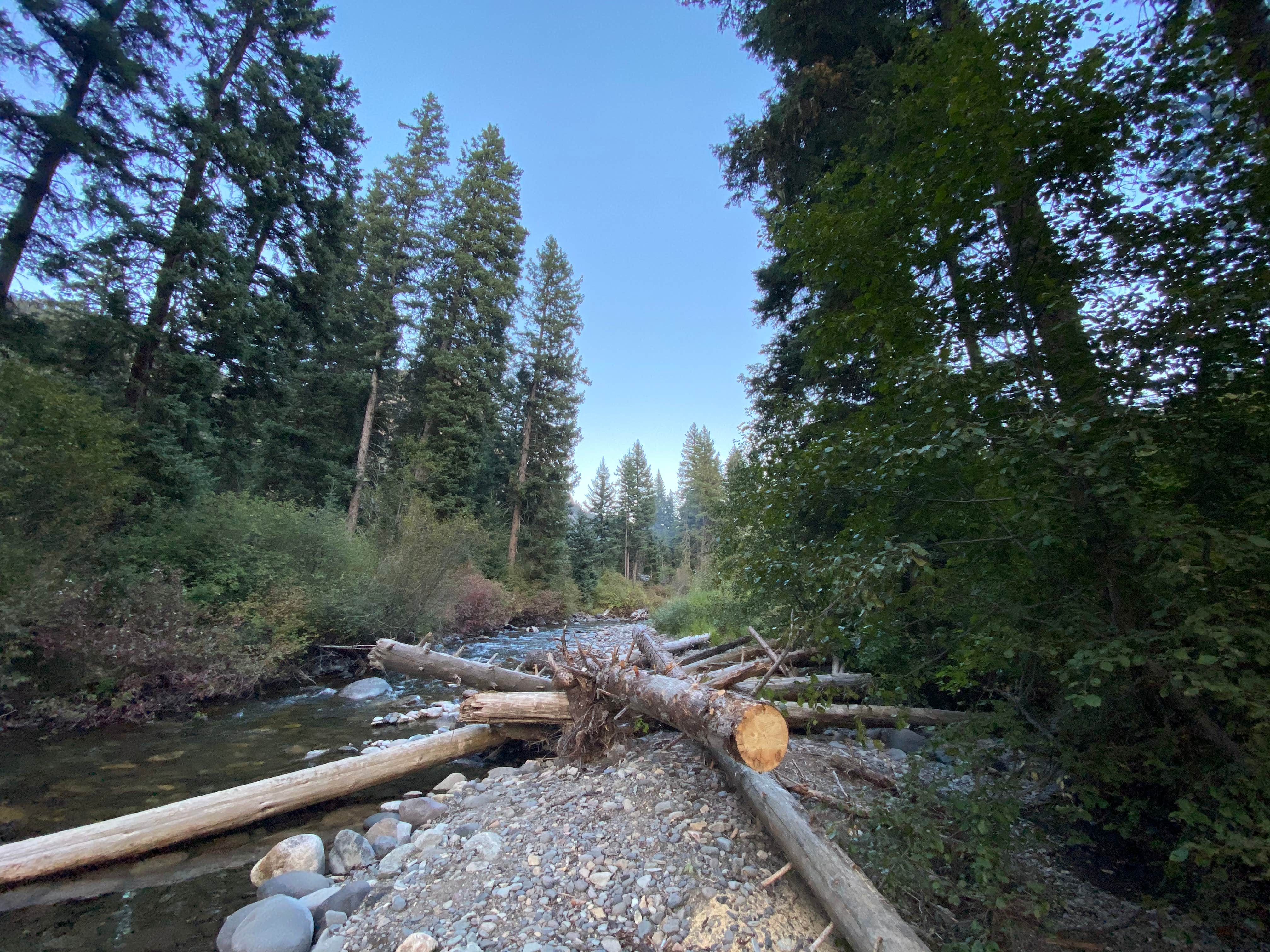 Camper-submitted photo at Gallatin National Forest Snowbank Group Campground near Gardiner, MT