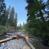 Review photo of Gallatin National Forest Snowbank Group Campground by Jeff K., September 14, 2020