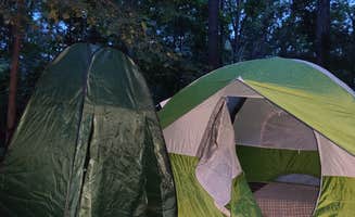 Chris's photo of a dispersed camping area at Uwharrie National Forest near Raeford, NC