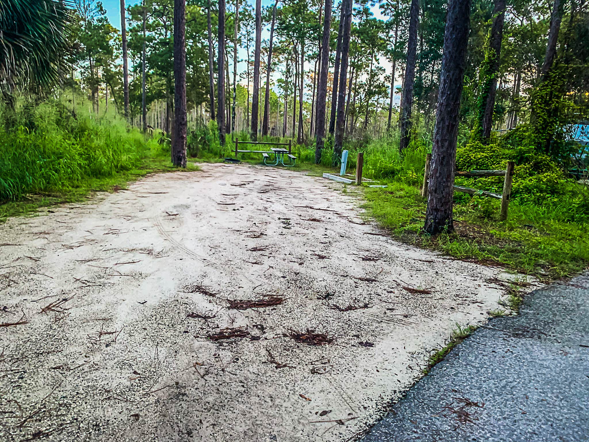 Camper-submitted photo at Wekiwa Springs State Park Campground near Bunnell, FL