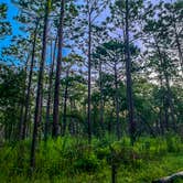 Review photo of Wekiwa Springs State Park Campground by Chris O., September 14, 2020