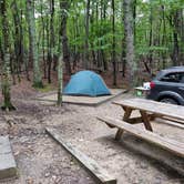 Review photo of Hanging Rock State Park Campground by Cassandra C., September 14, 2020