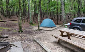 Cassandra C.'s photo at Hanging Rock State Park Campground near Summerfield, NC