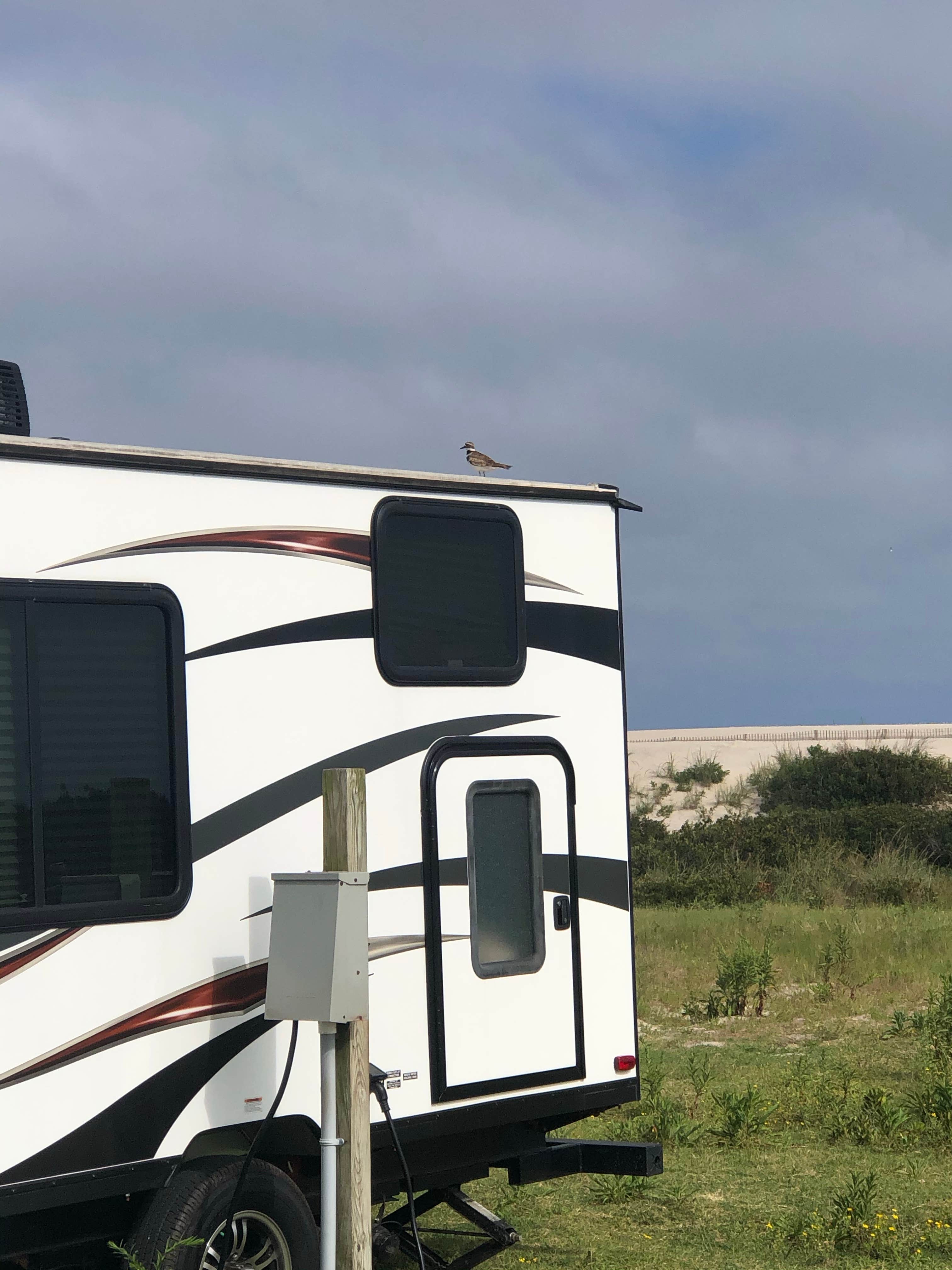 Sean M.'s photo of rv camping at Assateague State Park Campground near Parsonsburg, MD