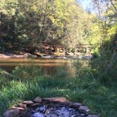 Review photo of Gandy Creek Dispersed Camping by Jeni N., September 14, 2020
