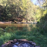 Review photo of Gandy Creek Dispersed Camping by Jeni N., September 14, 2020