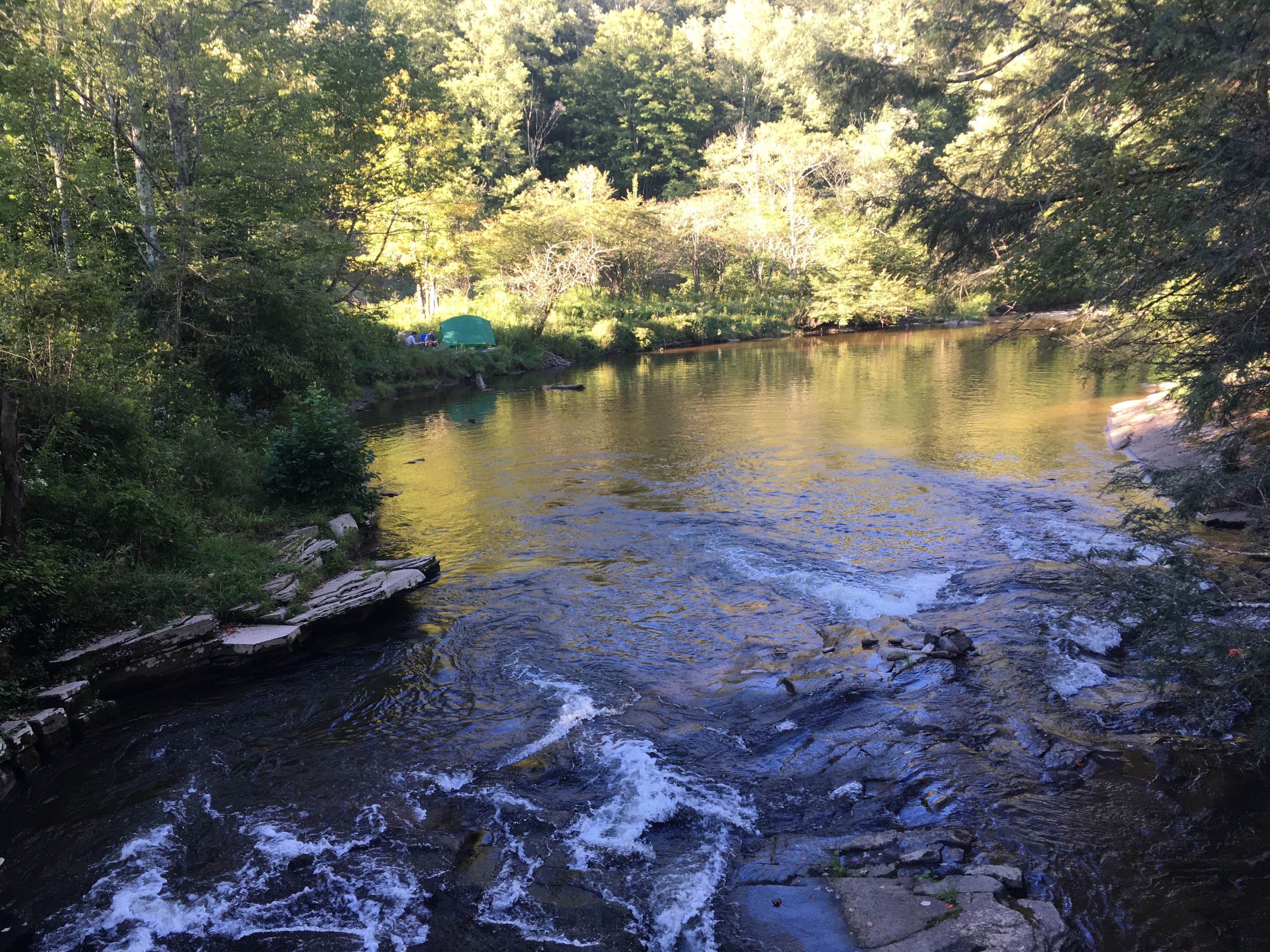 Gandy Creek Dispersed Camping
