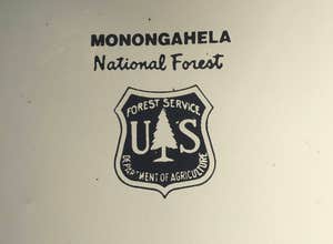 Gandy Creek Dispersed Camping