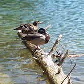 Review photo of Devils Fork State Park Campground by Linda L., May 17, 2018