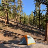 Review photo of McWilliams Campground by Kevin L., September 15, 2020