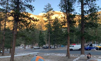 Camping near Toiyabe National Forest Old Mill Campground: McWilliams Campground, Mount Charleston, Nevada