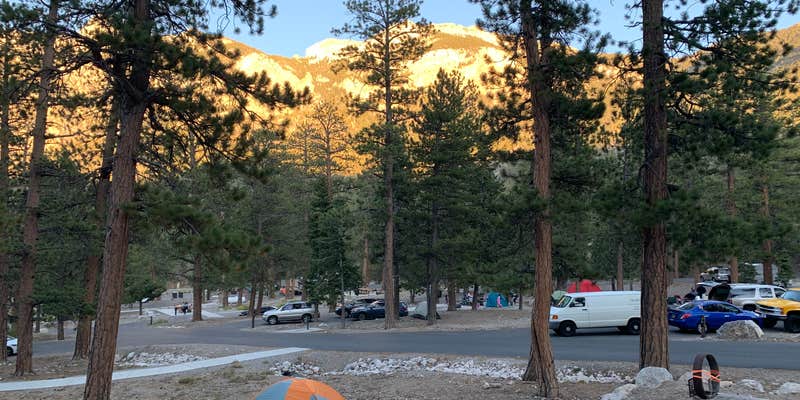 Camper submitted image from McWilliams Campground
