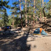 Review photo of McWilliams Campground by Kevin L., September 15, 2020