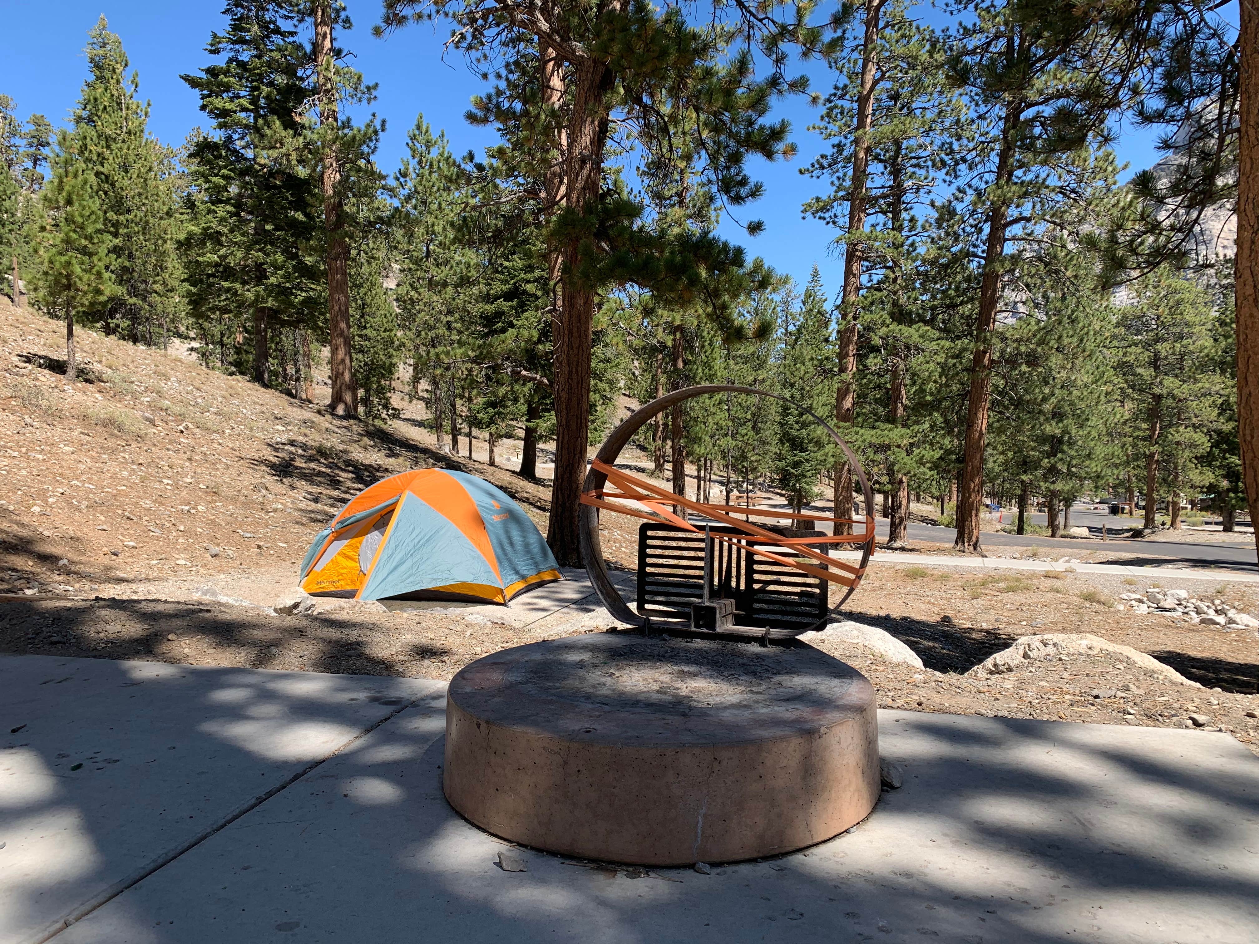 Kevin L.'s photo at McWilliams Campground near Mount Charleston, NV