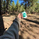 Review photo of Lakeview Campground (Az) — Coconino National Forest Recreation by marycatmathis  .., September 15, 2020