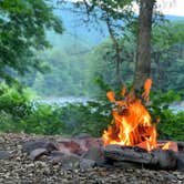 Review photo of Phoenicia Black Bear Campground by Derek W., September 15, 2020