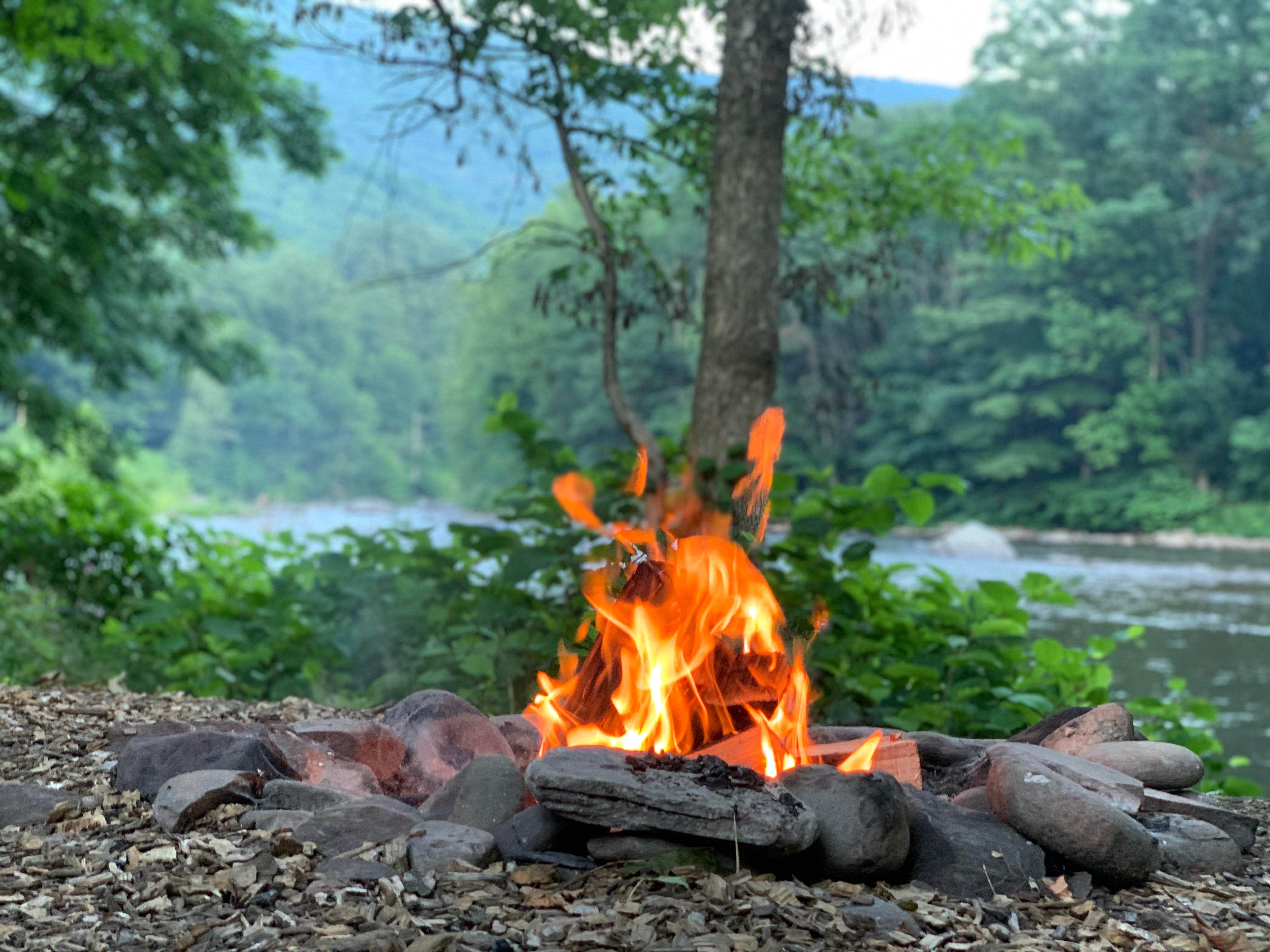 Camper submitted image from Phoenicia Black Bear Campground - 2