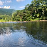 Review photo of Phoenicia Black Bear Campground by Derek W., September 15, 2020