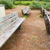 Review photo of Ochlockonee River State Park Campground by Ronald H., September 15, 2020