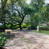 Review photo of Ochlockonee River State Park Campground by Ronald H., September 15, 2020