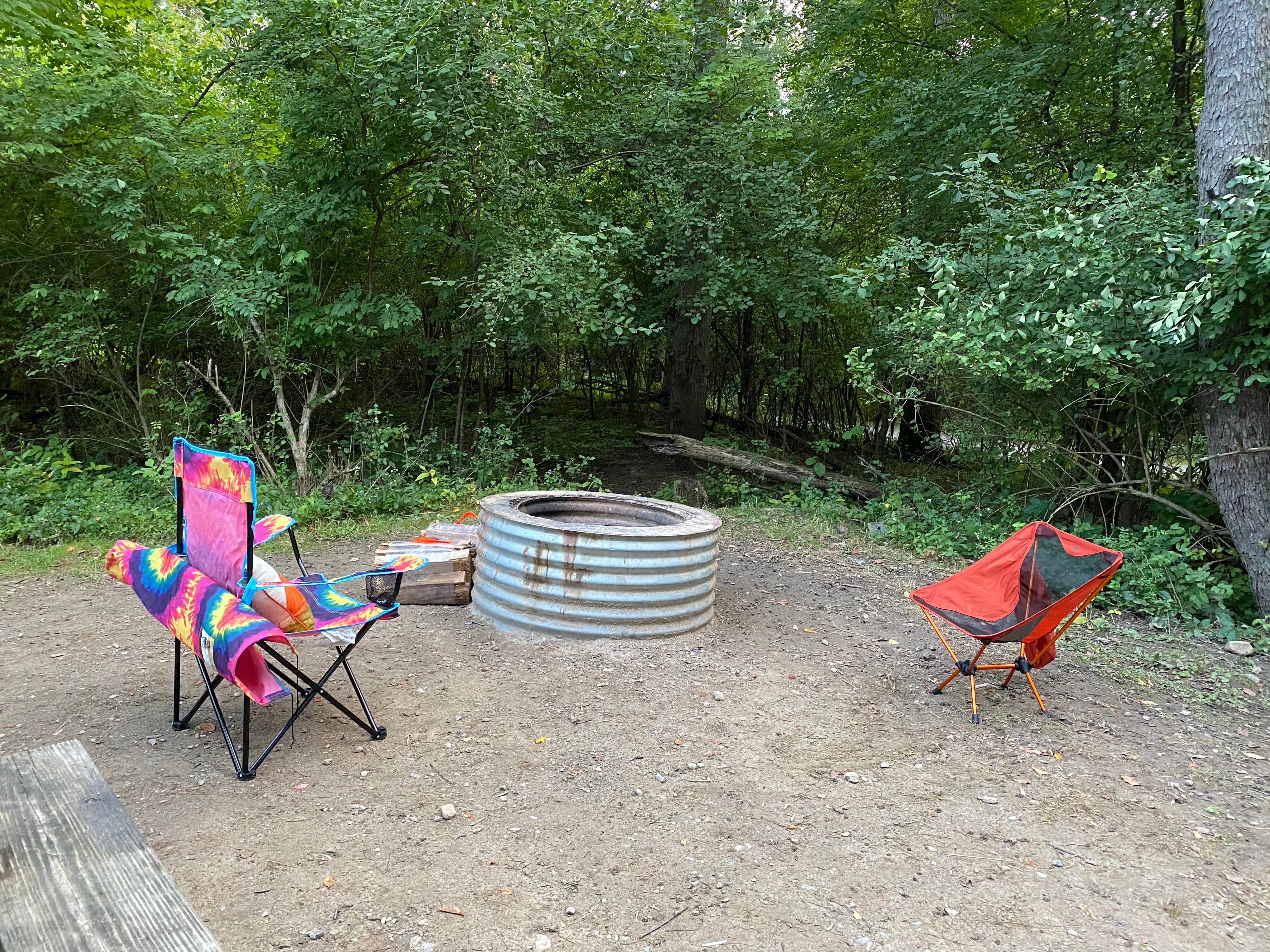 Broccoli Boss B.'s photo at Addison Oaks County Park near Auburn Hills, MI