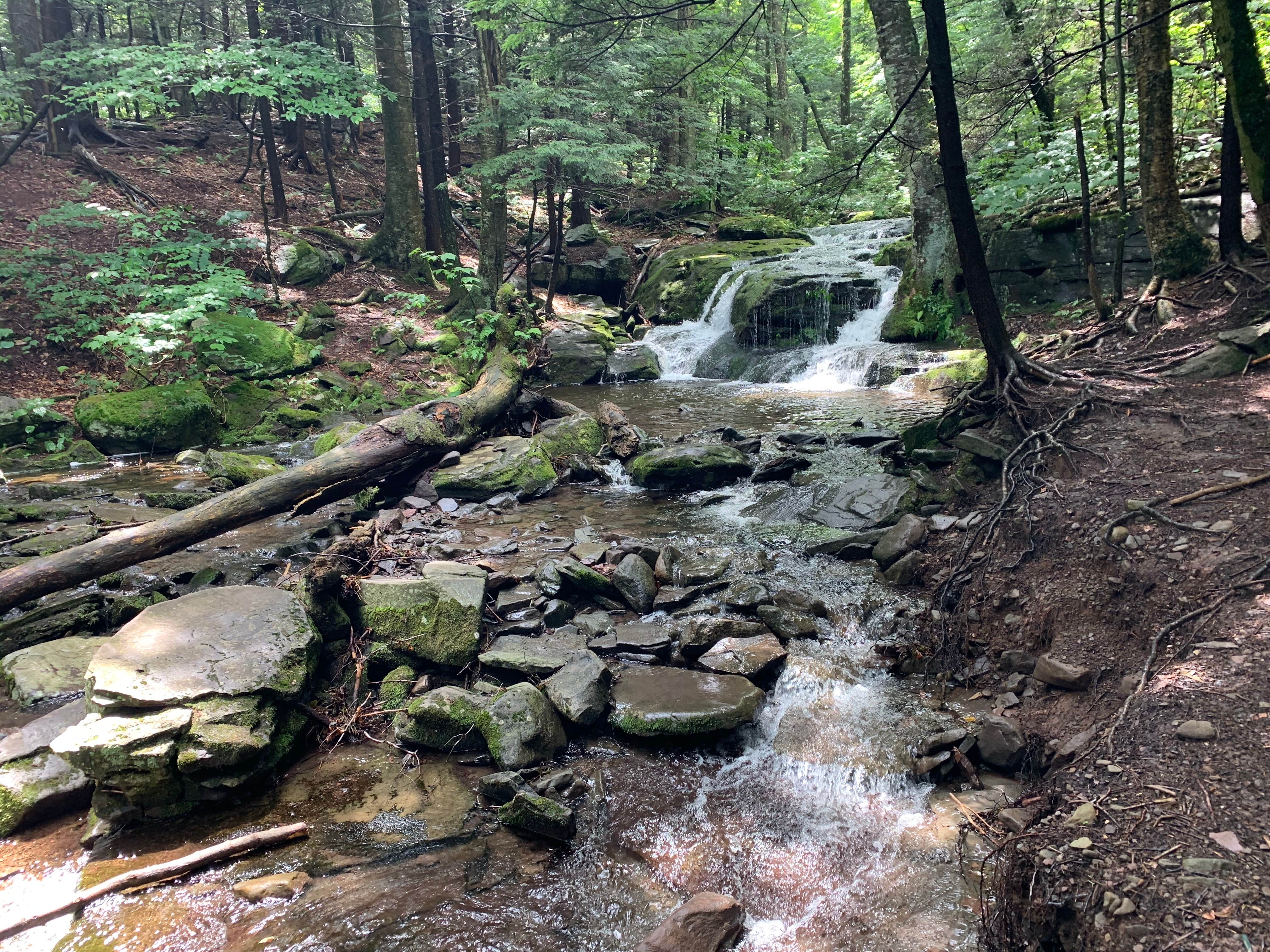 Camper-submitted photo at Blue Mountain Reservation near Highmount, NY