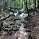 Review photo of Blue Mountain Reservation by Derek W., September 15, 2020